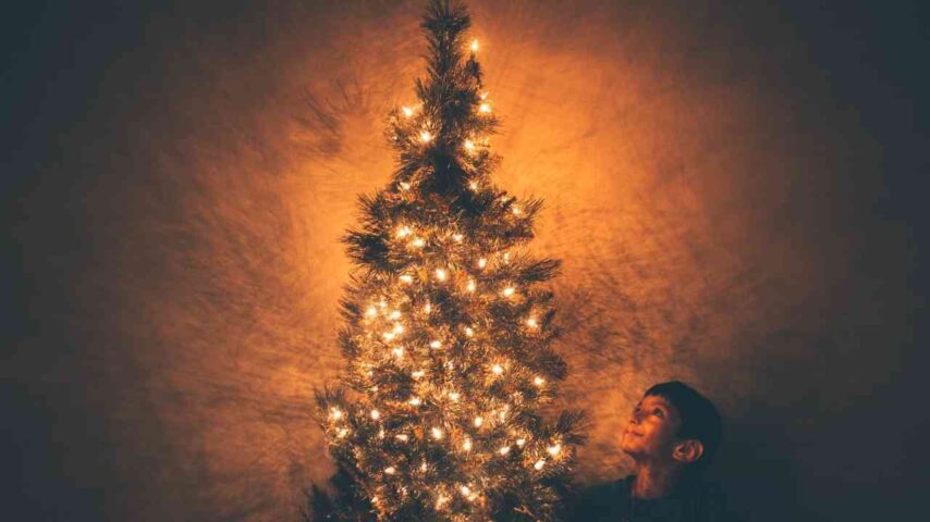 Aplica el significado del Árbol de Navidad a tu vida